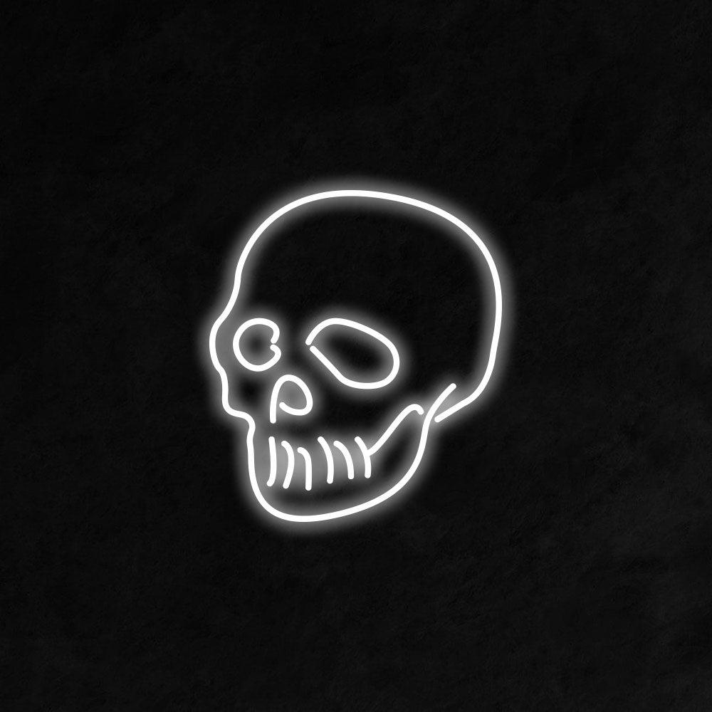 Skull Neon Signs – NeonSignKingdom